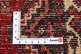 Bijar - Kurdi Alfombra Persa 383x275 - Imagen 4